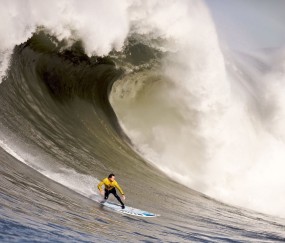 爱游戏官方-足协杯战况：本菲卡防线稳固，新疆男篮进攻受阻，文班亚马成最佳